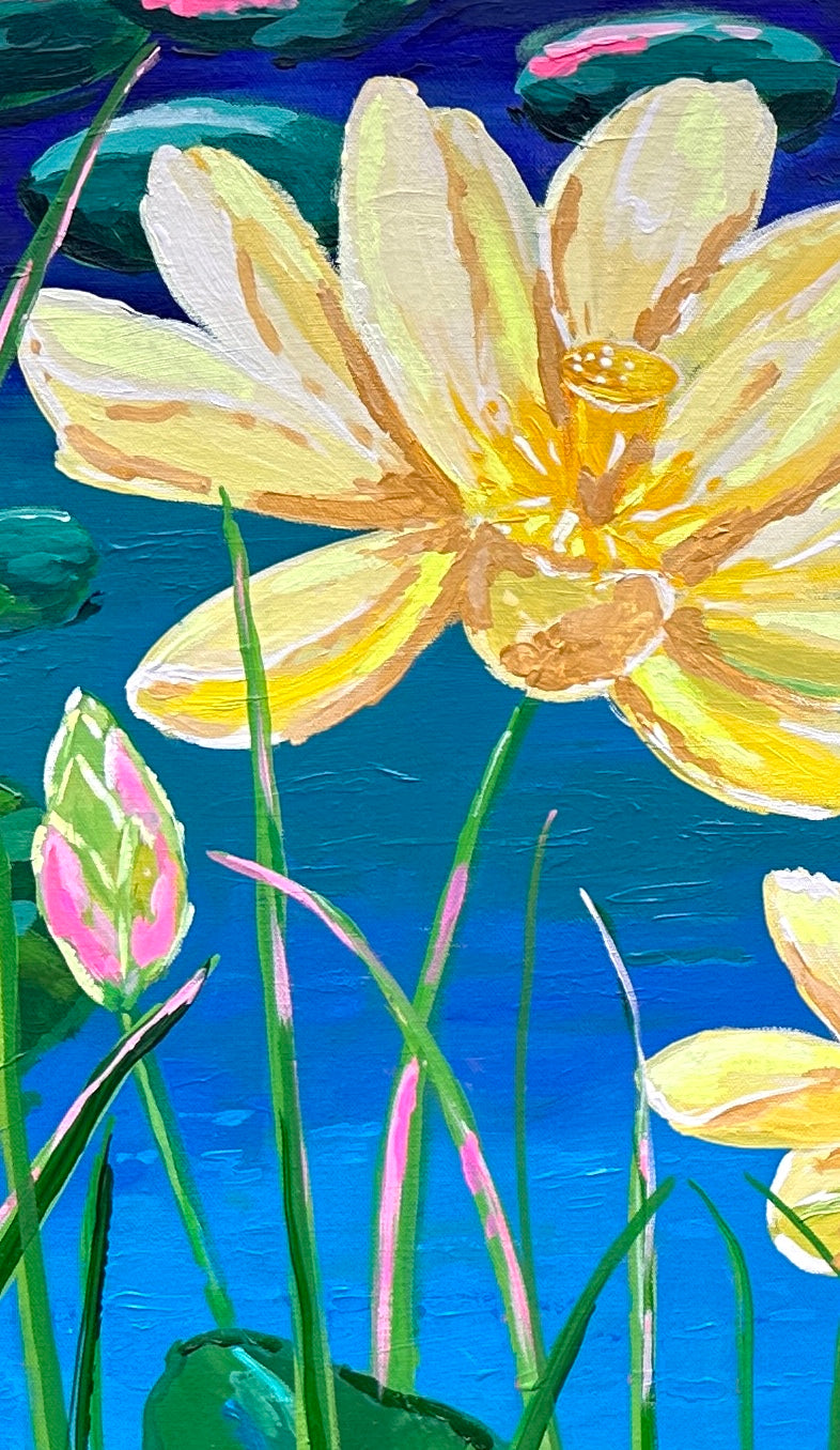 Secret Place Clothed in Beauty Collection