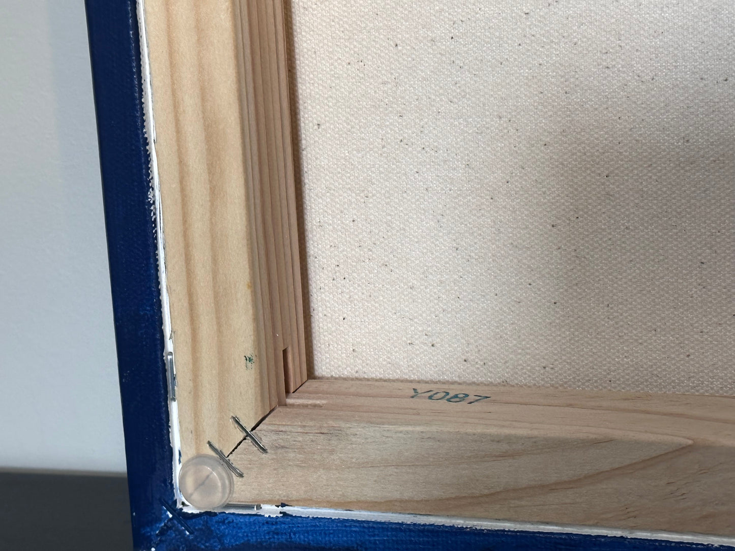 Celebration (Celebrate Collection)