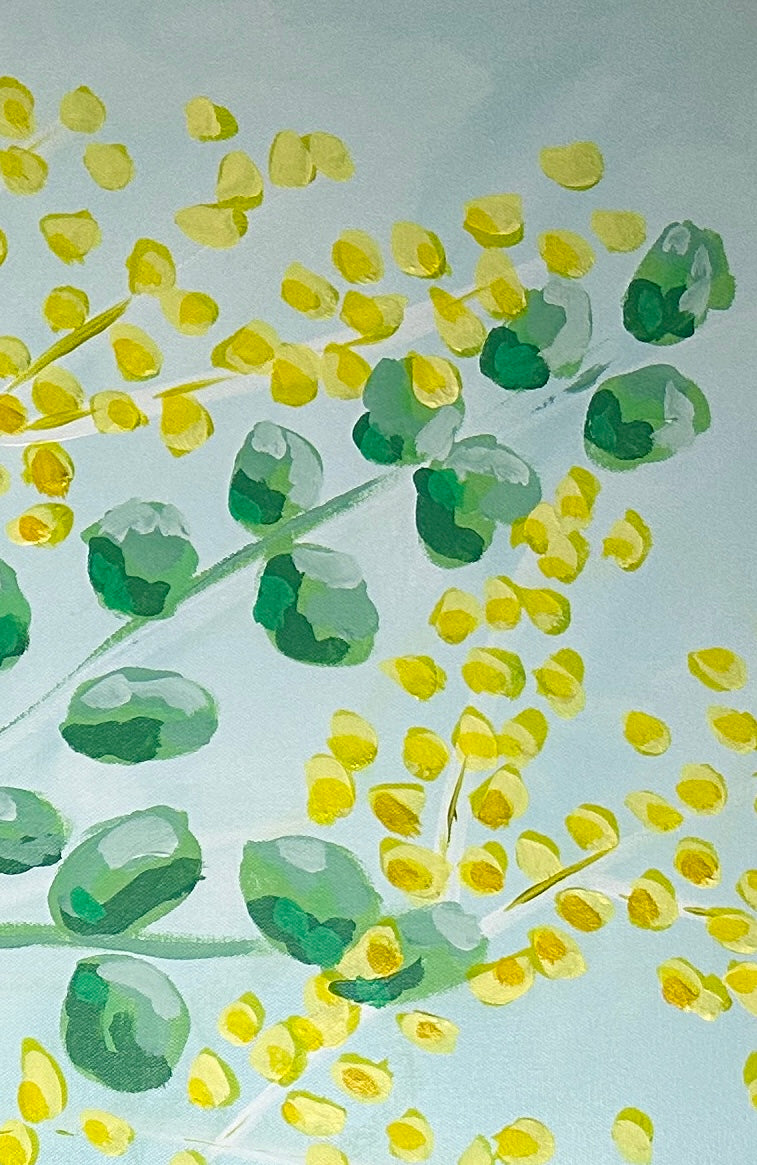 Harmony- Clothed in Beauty Collection