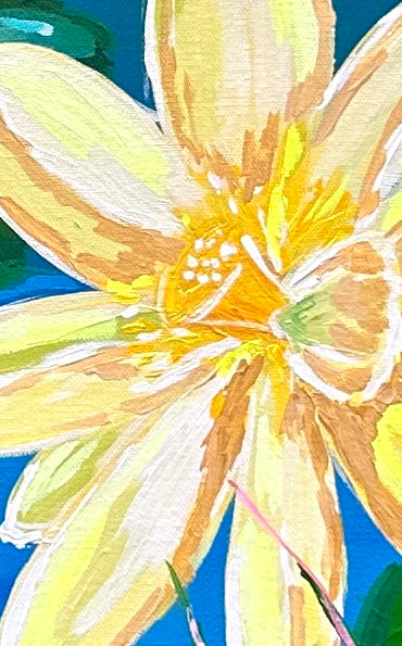 Secret Place Clothed in Beauty Collection