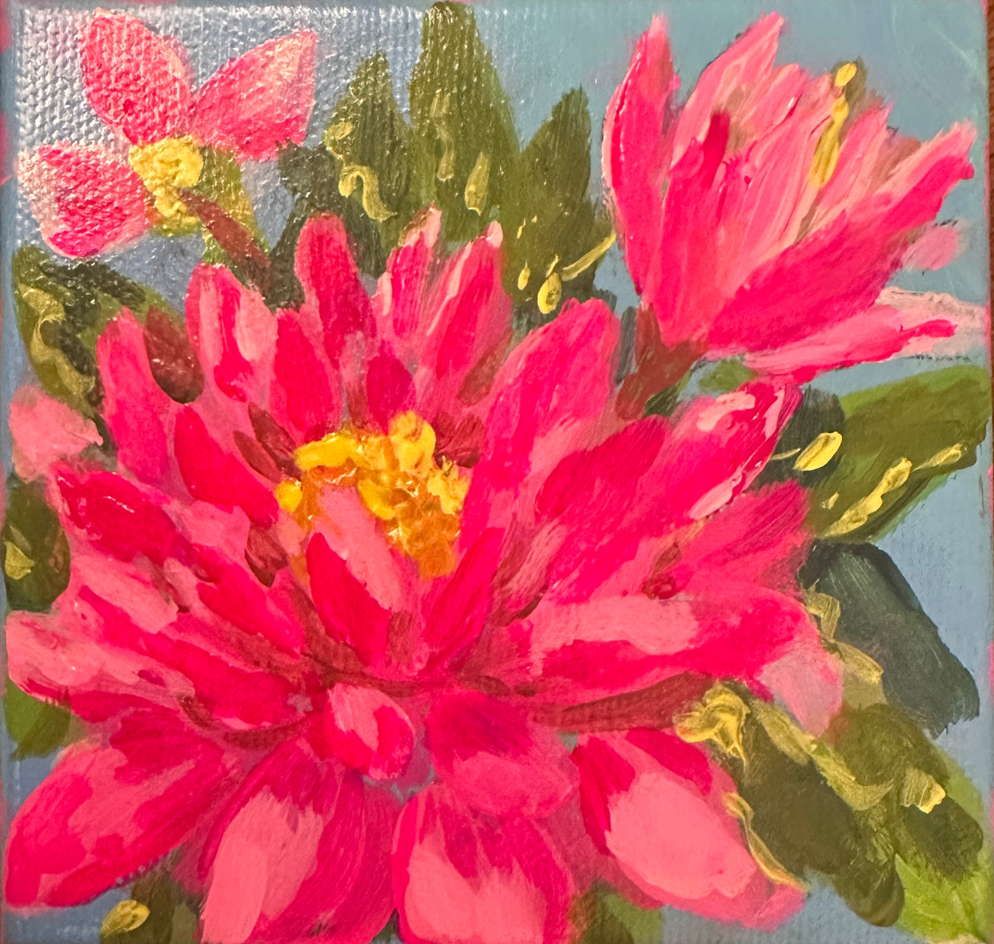 Hot Pink Gingham Baby Little Itty Bitty Collection